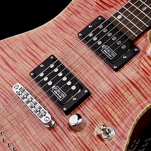 Amazon | SCHECTER シェクター エレキギター Rexy Series RX-2-24-CTM